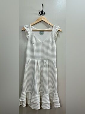 Anthropologie Maeve Sunland
Striped Ruffle Hem Fit & Flare Dress Size 4